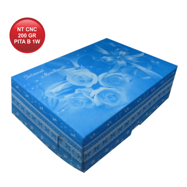 NT CETAK NON COATED 200 PITA BIRU 1W